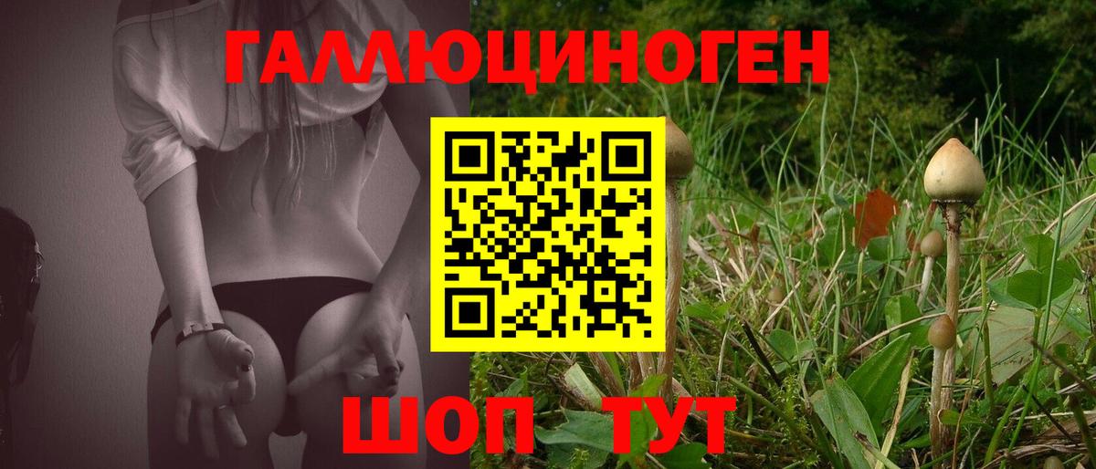 Галлюциногенные грибы ЛСД  Вход с VPN  Галлюциногенные грибы ЛСД  Братск 