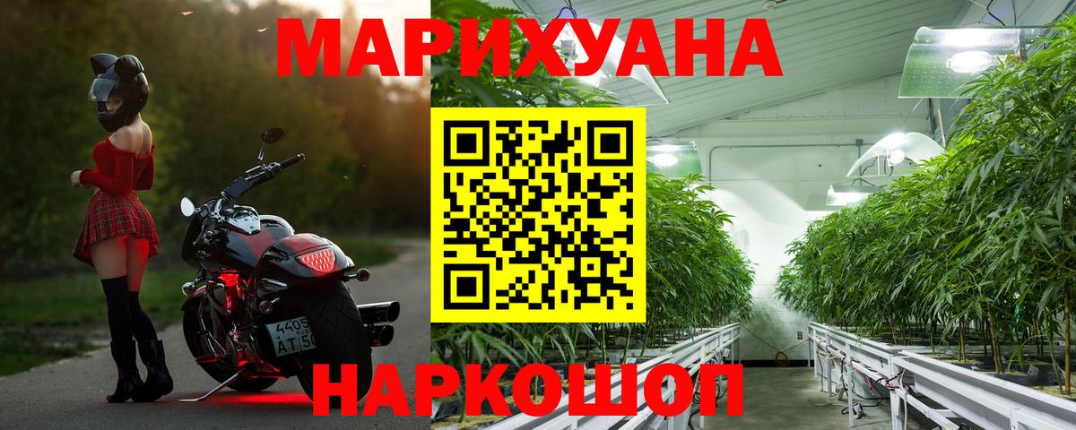 Конопля план Братск